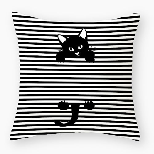 Kissenbezug 40x40 Schwarze Weiße Katze Kissenbezüge 40x40 Weich Baumwolle Hanf Couchkissen Resistent Kopfkissenbezug 40x40 Atmungsaktiv Kissenhülle 40x40 Verdecktem Zip Voll Sofakissen 1 Pcs von Kinde