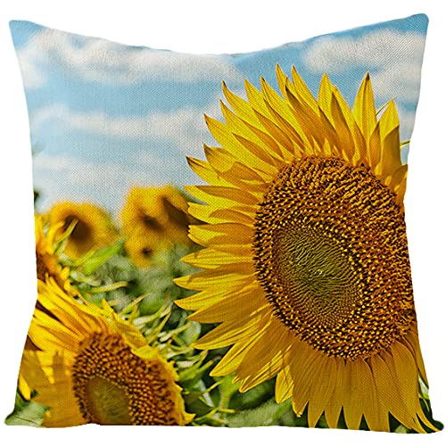 Kissenbezug 40x40 Sonnenblume Kissenbezüge 40x40 Weich Baumwolle Hanf Couchkissen Resistent Kopfkissenbezug 40x40 Atmungsaktiv Kissenhülle 40x40 Verdecktem Zip Voll Sofakissen 1 Pcs von Kinde