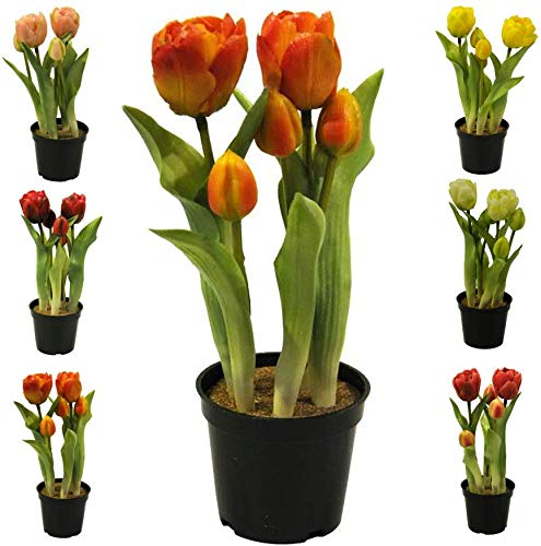 Künstliche & Realistische Tulpe im Topf – Höhe: 26cm - Große Auswahl - Hochwertig & Gefühlsecht - Kunstpflanze (Orange, Offene Blüten) von Klocke Kunstpflanzen
