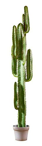Moderner Kaktus im Topf - XXL Kunstkaktus/Künstlich - Höhe 160cm - Premium Kunstpflanze - Sukkulenten Pflanze - Grüner Kaktus Künstlich/Dekokaktus von Klocke Kunstpflanzen