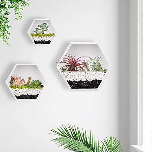 KnikGlass 3 Stück/Set Hexagon Wandvasen Deko Übertopf für Zimmerpflanzen Sukkulenten Luftpflanzen Kakteen Kunstpflanzen und Mehr, Metall (Weiß) von KnikGlass