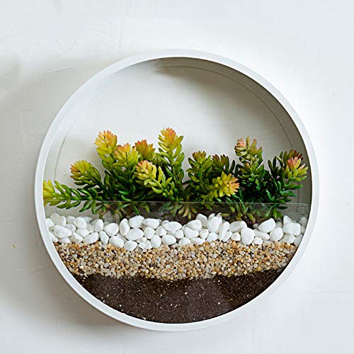 KnikGlass Wandvase Töpfe Glasvase Blumentöpfe Pflanzgefäße Blumen hängend für Pflanzen (Weiß) von KnikGlass