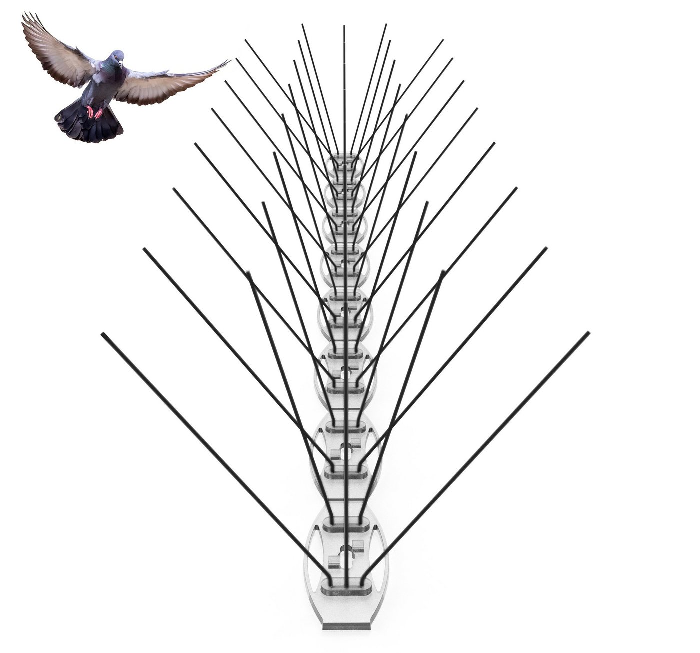 Konzept 11 Taubenspikes Taubenabwehr Vogelspikes Edelstahl 5-reihig, Set von Konzept 11