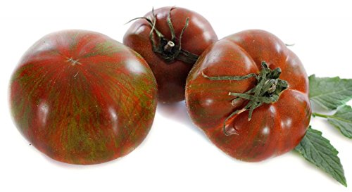 Rarität - Schwarze Krim Tomate - Noire de Crimée - 20 Samen von KräuMa