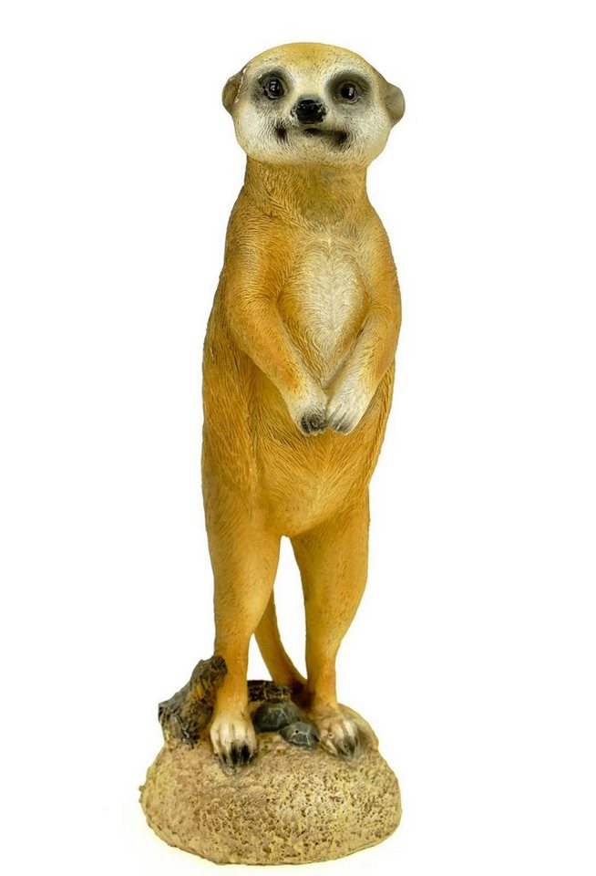 Kremers Schatzkiste Gartenfigur Kleines Erdmännchen stehend Figur Gartenfigur 20 cm Meercat Tierfigur von Kremers Schatzkiste