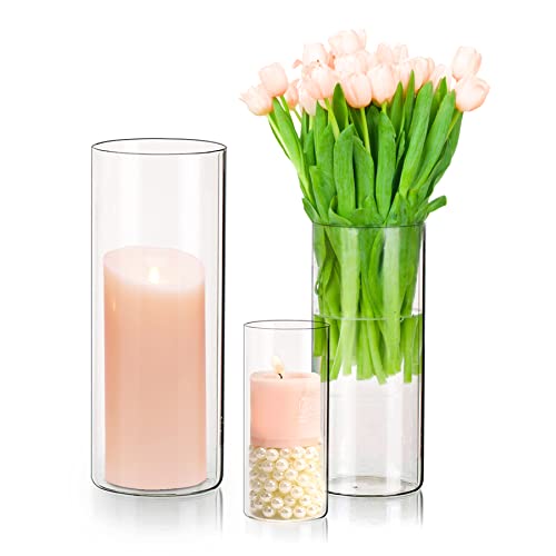 3Pcs Glas Zylinder Kerze Halter klar Hurrikan Kerze Halter Blume Vase für Teelicht Votiv Säule schwimmende Kerzen für Hochzeit Tisch Centerpiece (transparent, 3 Stück) von LANLONG