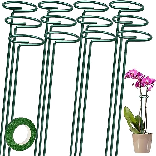 LATERN 12 Stück Pflanzenstützpfähle, 40CM Stützpfahl für Einen Einzelnen Stamm 6cm Durchmesser Pflanzenkäfig Stützring mit 25m Grünem Klebeband für Blumen Amaryllis Lil Rose Pfingstrose Tomate von LATERN