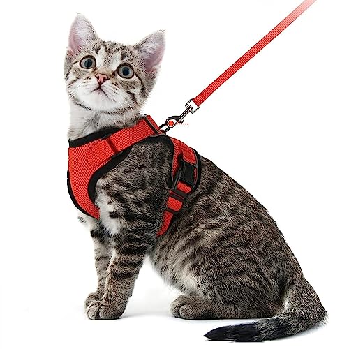 LATRAT Atmungsaktiver Brustgurt für Katzen, Katzenleine, reflektierend, Katzengeschirr mit Leine, auch für kleine Hunde geeignet (Rot, XS) von LATRAT