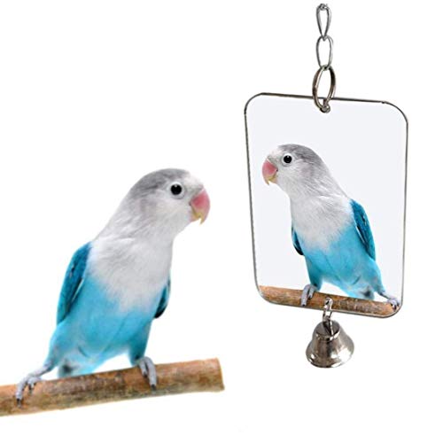 LAVALINK Vogel Zubehör Papageien Spielzeug-papageien-Vogel Sittich Hanging Spiegel Glockenspiel Spielzeug Käfig Dekoration Pet Supplies von LAVALINK