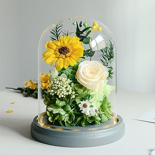 Konservierte Sonnenblumen In Glaskuppel Sonnenblumen Ewige Bewahrte Rose Für Wohndekoration Geschenke Für Älteste Kreative Trockenblumendekorationen Für Ihre Hochzeit Zum Valentinstag ( Color : A ) von LBMED