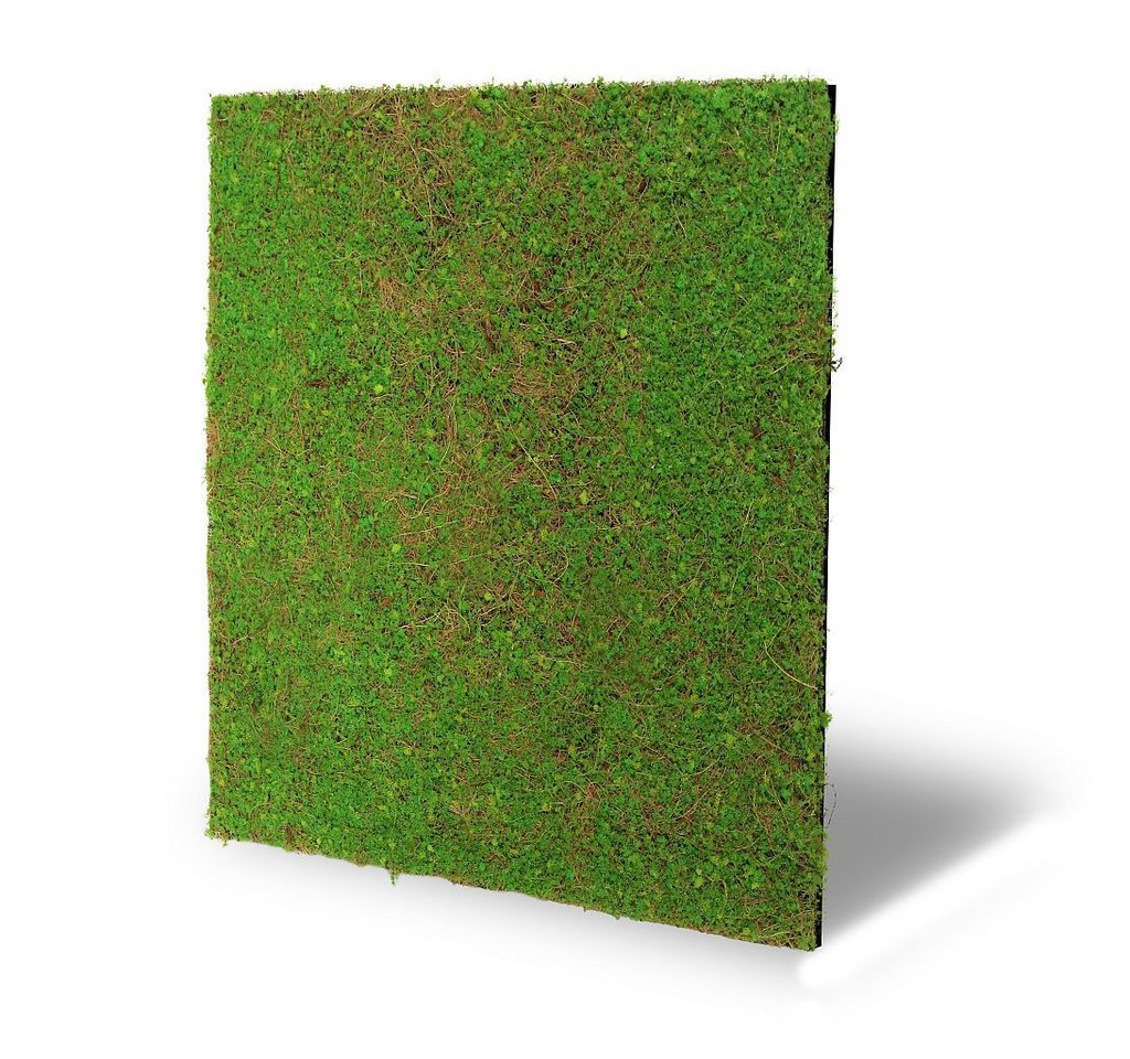 LEISTENHAMMER DER SOCKELLEISTEN SHOP Wandpaneel 3D Wandpaneel Waldboden gemischt 52x52 Grüne Wand Akustik Nature, BxL: 52x52 cm, 0.27 qm, (1-tlg) German Design Award 2024 von LEISTENHAMMER DER SOCKELLEISTEN SHOP