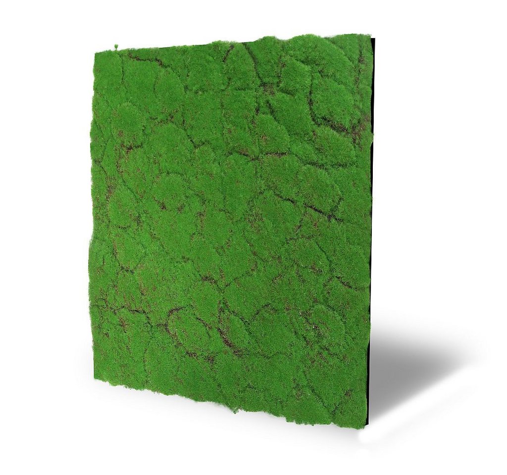 LEISTENHAMMER DER SOCKELLEISTEN SHOP Wandpaneel Wandpaneel Design Moos grün 52x52 3D Nature Wall Akustik Wall, BxL: 52x52 cm, 0.27 qm, (1-tlg) German Design Award 2024 von LEISTENHAMMER DER SOCKELLEISTEN SHOP