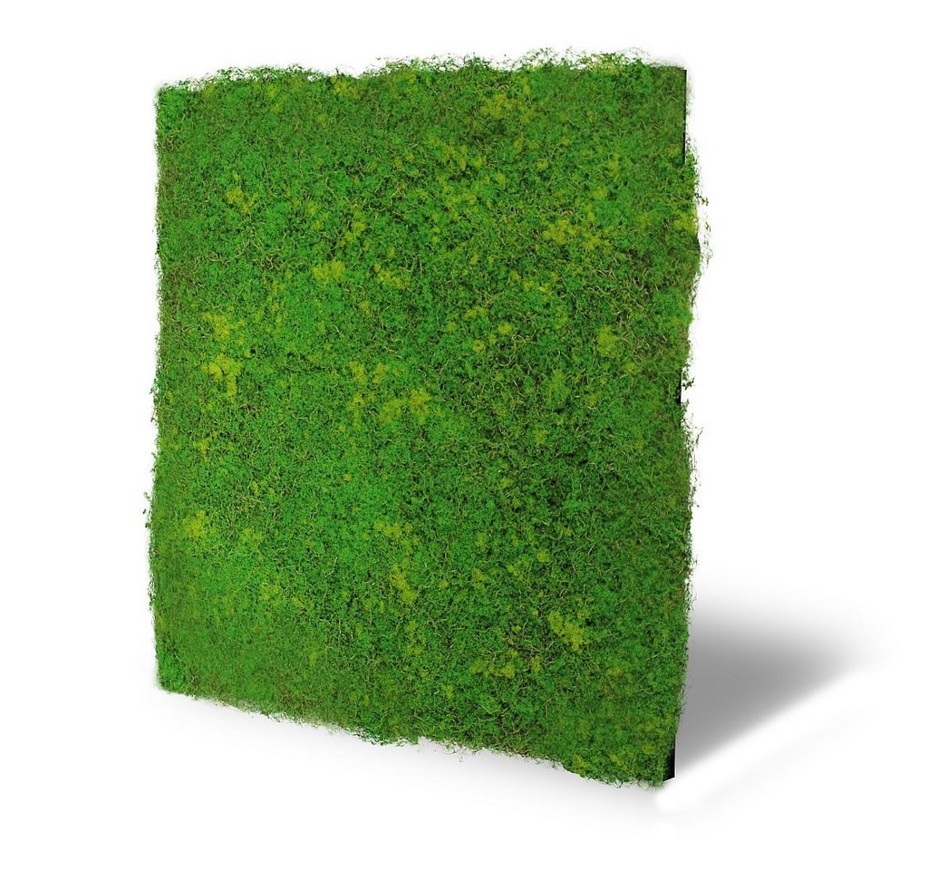 LEISTENHAMMER DER SOCKELLEISTEN SHOP Wandpaneel Wandpaneel Waldboden grün 52x52 Grüne Wand 3D Nature Wall Akustik Wall, BxL: 52x52 cm, 0.27 qm, (1-tlg) German Design Award 2024 von LEISTENHAMMER DER SOCKELLEISTEN SHOP