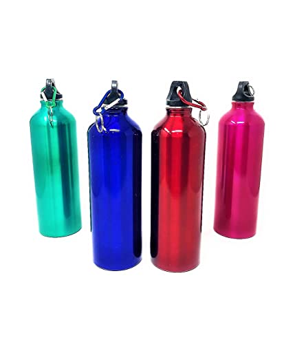 LEOFLA Trinkflasche aus leichtem Aluminium, 750 ml, mit luftdichtem Verschluss und waschbarem Haken. von LEOFLA