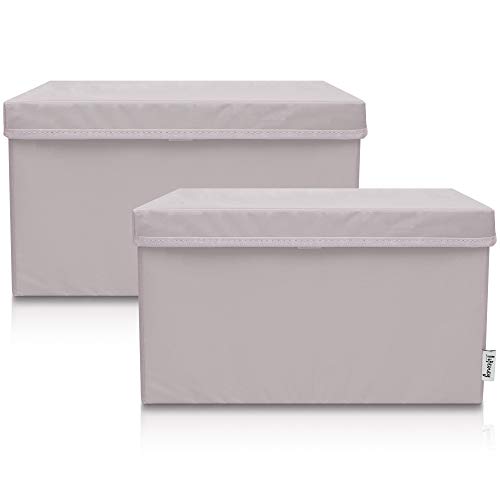 LIFENEY 2-Set Aufbewahrungsbox Kinder (37x25x21cm) I Aufbewahrungskorb für Kinderzimmer und Wohnbereich I Kinder Aufbewahrungskiste (Hellgrau) von LIFENEY