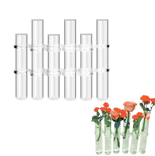 18cm Glas Reagenzglas Vase Set - Blumen Hydrokultur Deko Pflanzen Test Tube Ständer mit Klappverschluss - Transparentes Glasröhrchen Hydroponik Terrarium für Blumen.(6 Röhrchen unterschiedliche Höhen) von LIKEUDO