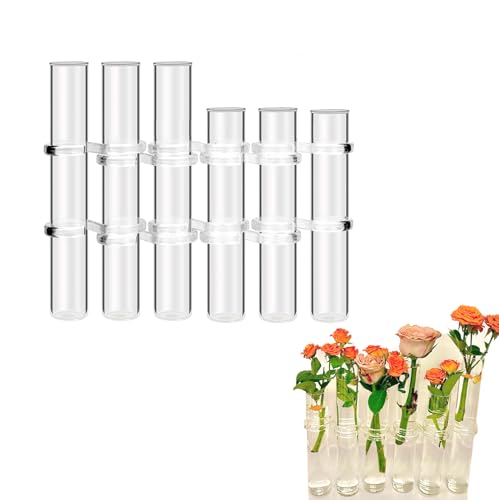 Glas Reagenzglas Vase Set - Blumen Hydrokultur Deko Pflanzen Test Tube Ständer mit Klappverschluss - Transparentes Glasröhrchen Hydroponik Terrarium für Blumen.(6 Röhrchen unterschiedliche Höhen) von LIKEUDO