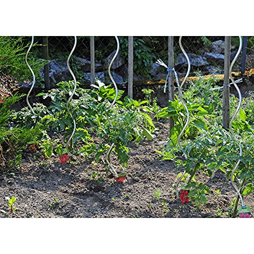 20er Set Tomatenstäbe 180cm Tomatenspiralstab Tomatenstange Rankhilfe Pflanzstab von LINDER EXCLUSIV