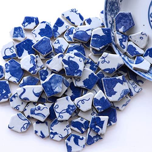 LITMIND 0,5 kg blaue und weiße Keramik-Mosaikfliesen zum Basteln, unregelmäßige Porzellanteile – perfekt für Mosaik-Kunstprojekte und Gartendekoration von LITMIND