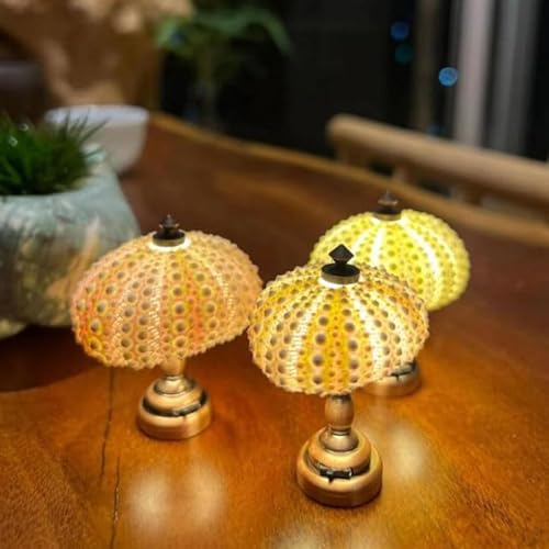 Seeigel-Nachtlicht DIY Sea Urchin Night Light Materialsatz, Mini Seeigel Licht, Handgemachte Tischlampe, Vintage Nachttischlampe, Kunsthandwerk für Kinderzimmer, Schlafzimmer, Schlafsaal,3pcs von LOGT