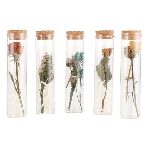 LOLYSIC 5er Set Trockenblumen in Reagenzglas mit Korken 3 x 12 cm Kork Reagenzglas Glasflasche getrocknete Blume von LOLYSIC