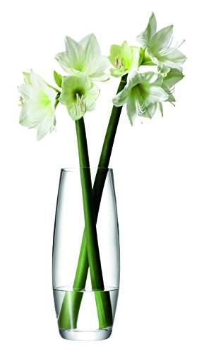 LSA Flower Vase Für Lange Blumen H41cm Klar von LSA International