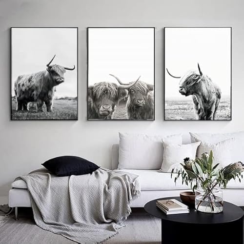 LXTOPN Lustige Hochland Kuh Wandkunst Poster Bilder,Schwarz-Weiß Leinwand Bild,Rustikale Stil Wandbilder für Wohnzimmer, Schlafzimmer Dekor,ohne Rahmen (3*kuh-1, 30x40cm*3) von LXTOPN