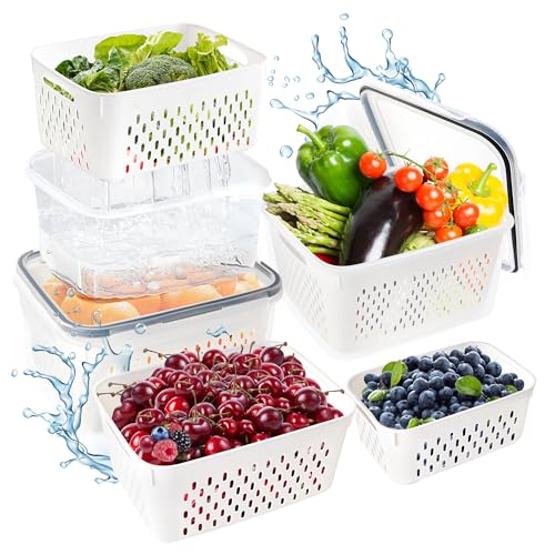 LYLIDIA 4 Stück Frischhaltedosen mit Deckel Kühlschrank Organizer Obst Gemüse Aufbewahrung Kühlschrank Blattfest Vorratsdosen mit Deckel Meal Prep Boxen Gefrierboxen Container 4.15L/3.15L/1.7L/0.8L von LYLIDIA