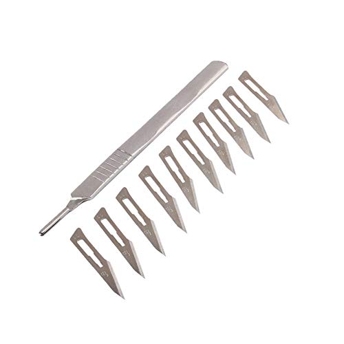 10 Stück Surgical Blades, Skalpell Schablonen Klingen Skalpell Skalpell Basteln Ersatzklingen Bastelmesser Skalpell Carbon Steel Medical Scalpel Blades, Cuttermesser für DIY Art Work Cutting von Ladieshow