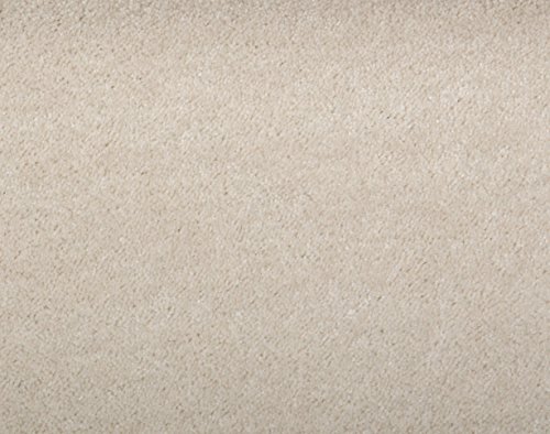 Teppichboden Shaggy Hochflorteppich Bodenbelag Auslegware Uni hellbeige 550 x 400 cm. Weitere Farben und Größen verfügbar von misento