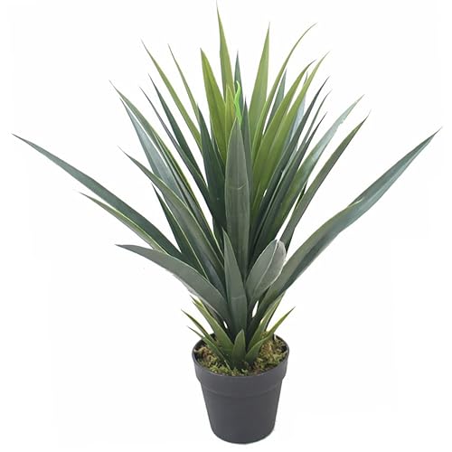 Leaf Künstliche Agave, Sukkulenten, Yukka-Stil, 60 cm, LEAF-7170 von Leaf