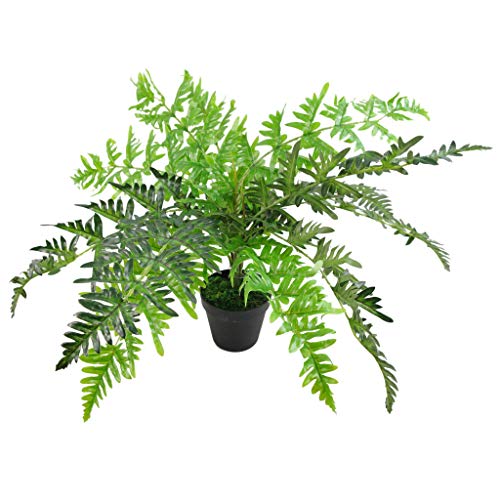 Leaf Farnpflanze, immergrün LEAF-7145 50cm Luxury fern von Leaf