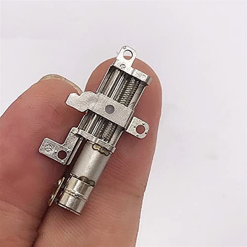 Leloo Lcuihong-Mini-Gleichstrommotor Winziger Mini-Schrittmotor, 2-Phase 4-Draht-Zahnrad-Schrittmotor, 5mm-Präzisionsplanetengetriebe, linearer Schraubstab Metallschieber DIY Ersatzteile von Leloo