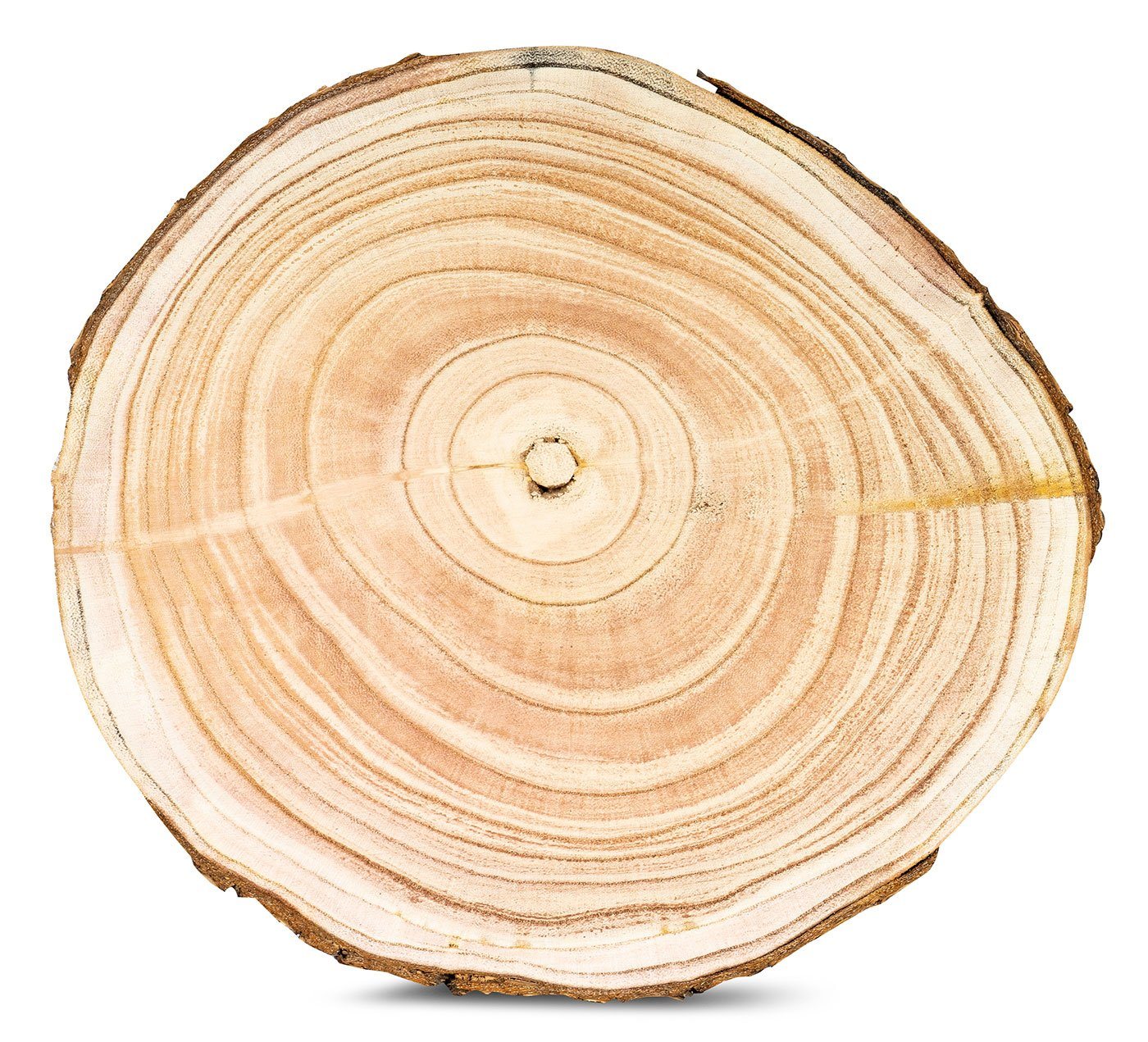 Levandeo® Dekoobjekt, Baumscheibe Deko-Platte Ca. Ø 29cm Holz-Scheibe Naturbelassen von Levandeo®
