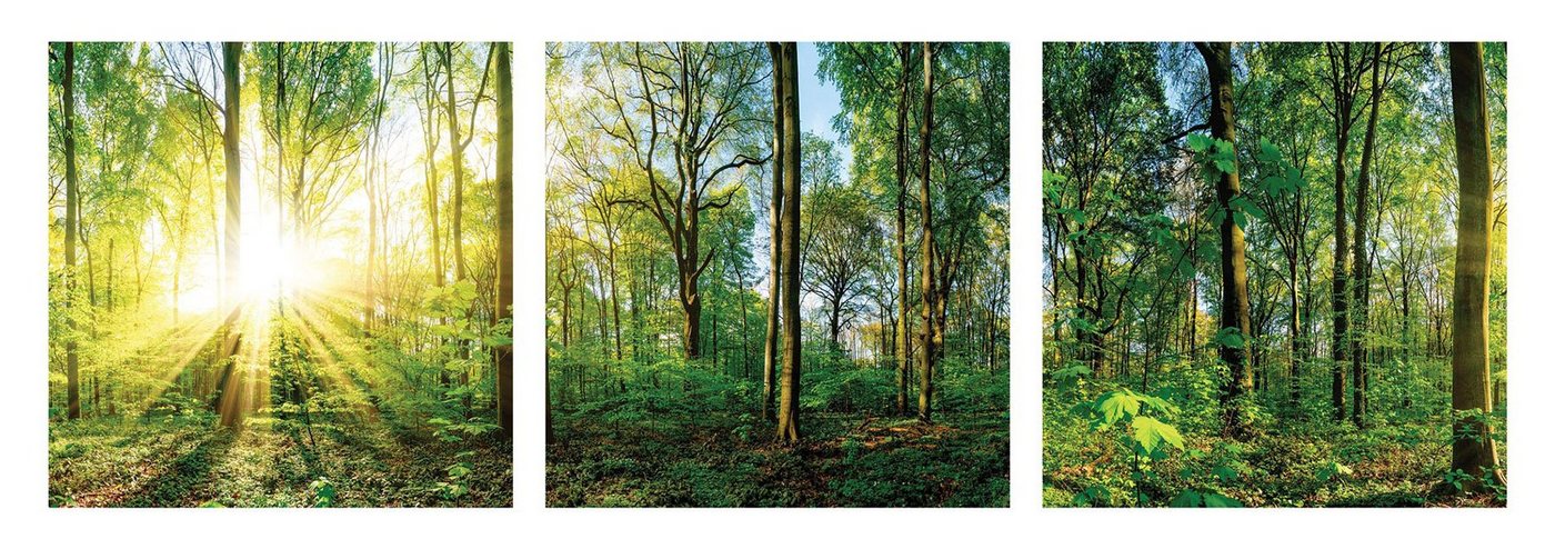 Levandeo® Glasbild, 3er Set Wandbild je 30x30cm Glasbild Wald Natur Sonne Landschaft von Levandeo®