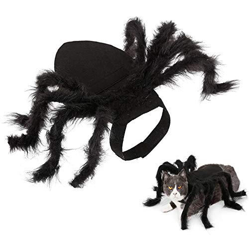 Lifreer Halloween-Spinnen-Kostüme für Hunde und Haustiere, Plüschspinnen-Kostüm, Outfits für Katze und Hund, Cosplay, Halloween, Party, Größe S von Lifreer