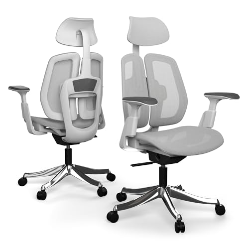 Liftor Active Ergonomischer Bürosessel: Verstellbarer Bürostuhl - Lendenstütze, dynamisches Sitzen, 3D Armlehnen, Ergonomischer Schreibtischstuhl für bis zu 185cm und 150 kg (Mesh, Hellgrau) von Liftor