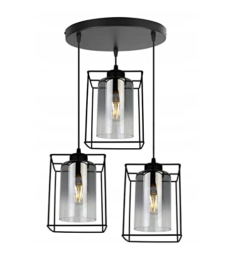 Light-Home Hella Cage Hängelampe - Deckenlampe für Wohnzimmer Schlafzimmer und Esszimmer- Pendelleuchte aus Metall und Glas - E27 - Graphit - 3-Flammig - Oval von Light Home LH