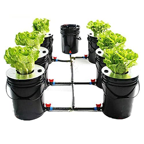 Lightakai Hydroponisches Anzuchtsystem, 20L Hydroponic System Kit Indoor Bodenlose Gemüseanbau Hydrokultur DWC Grow System Kit für Nutzpflanzen Gemüse Kräuter Salate Zierpflanzen von Lightakai