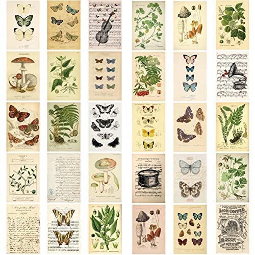 Lipfer 30pcs Wand Postkarten Schmetterlinge Biologe Serie Wohnzimmer Dekorative Karten Wohnkultur Wanddekoration Dekorative Karten von Lipfer