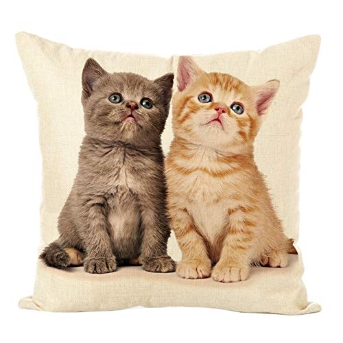 Livecitys Zierkissen, niedliche Katze, weich, Kissenbezug, quadratisch, für Haus, Auto, Sofa, Bett 5# von Livecitys