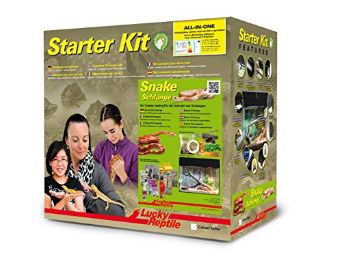 Lucky Reptile Schlangen Starter Kit 50 cm - hochwertiges Schlangen Terrarium Komplettset für die Aufzucht von Klein- oder Jungschlangen - Starter Set Schlangen für Einsteiger in schwarz von Lucky Reptile