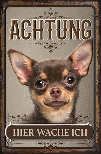 Wetterfestes, stabiles Hundeschild für den Außenbereich - Hinweisschild: Achtung hier wache ich! - Hunde Deko Alu Dibond Schild, wetterfest 30 x 20 cm (Chihuahua Kurzhaar Schwarz Braun) von LuckyLinde