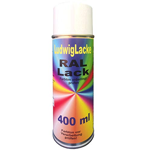 Deko Bastel Acryl Lack 400 ml Spray RAL Farbe matt oder glänzend schnell trocknend zum lackieren und dekorieren von vielen Materialien DIY (RAL 2003 Pastellorange glänzend) von Ludwiglacke