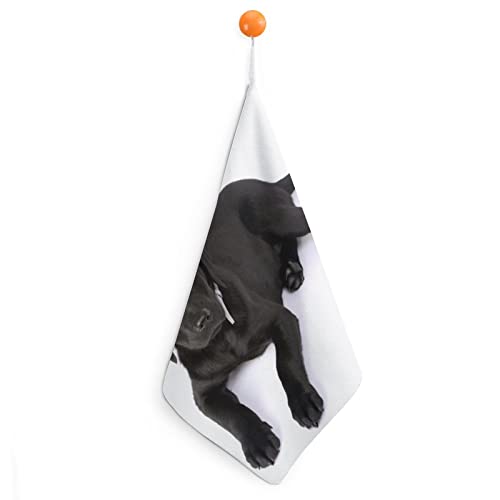Handtuch Schwarzer Labrador Hund Handtücher Geschirrtuch Lanyard Design Für Badezimmer Küche Sport von Lurnise
