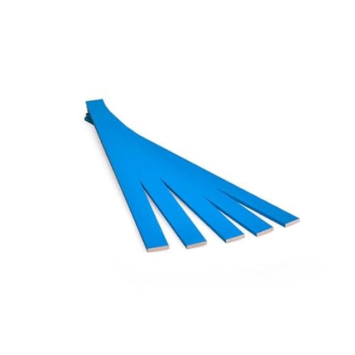 Metrie™ 100 Stück hellblau gefärbte Holzstäbchen Bastelholz - Pantone Process Blue C - ideal zum Heimwerken, Holzarbeiten und Basteln mit Kindern, hochwertiges Buchenholz, 25 x 1,6 x 0,3 cm von M METRIE