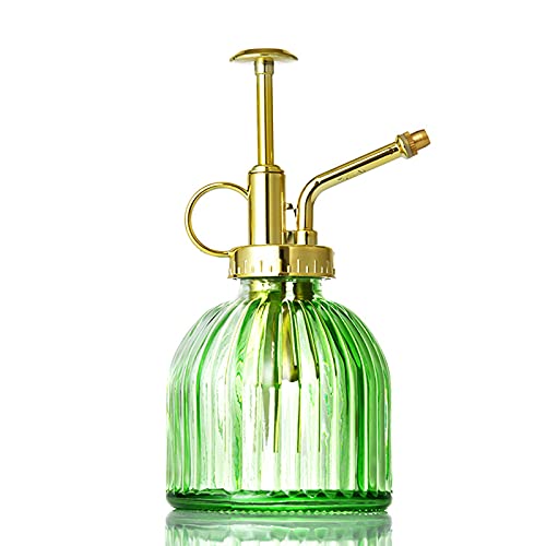 MCDSAJ Glas-Bewässerungssprühflasche mit Pumpe, 200 ml, Vintage-Stil, Glas-Bewässerungssprühflasche, für Blumen, Sukkulenten, Kräuter, Pflanzen, Haus und Garten von MCDSAJ