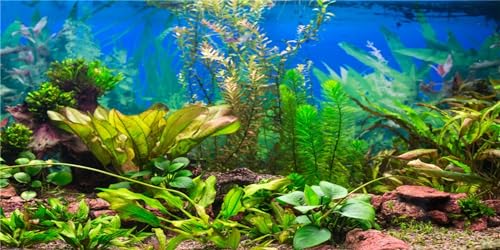 MIRRORANG 120x46cm Aquarium Hintergrund Wasserpflanze Flussbett & See Aquarium Poster Hintergrund Vinyl Hintergrund von MIRRORANG