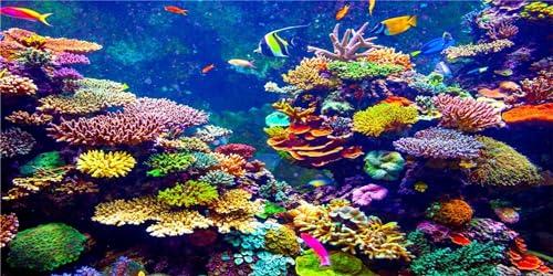 MIRRORANG 180x61cm Aquarium Hintergrund Koralle Tropische Fische Unterwasserwelt Aquarium Hintergrund Langlebig Vinyl Hintergrund von MIRRORANG