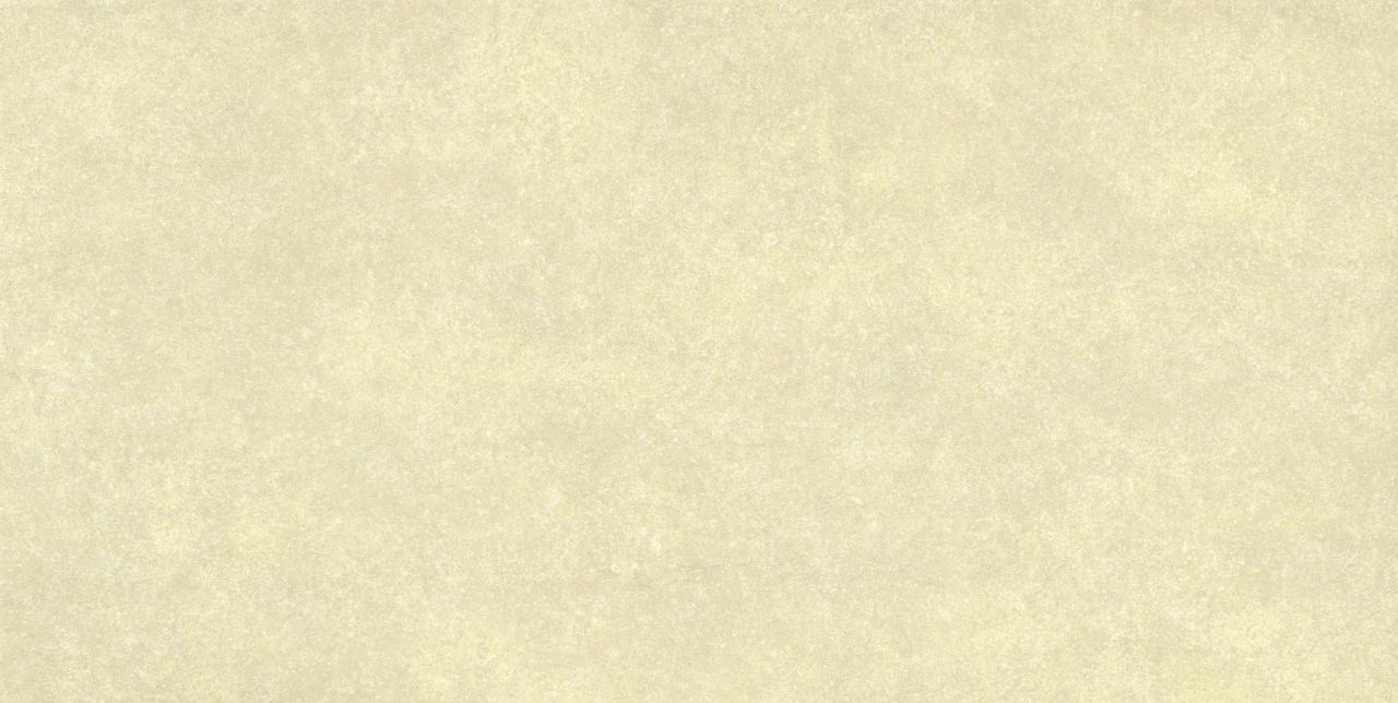 Bodenfliese Feinsteinzeug Absolute 31 x 62 cm beige von MOMASTELA